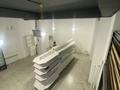 Дүкендер мен бутиктер · 92 м², бағасы: 65 млн ₸ в Астане, Сарайшык р-н — фото 4