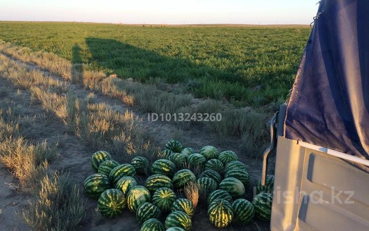 Участок · 10 га, Курык за 20 млн ₸ — фото 2