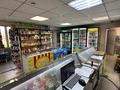 Продуктовый магазин с мини-пекарней · 80 м² за 60 млн ₸ в Усть-Каменогорске — фото 5