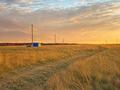 Участок · 10 соток, Шоссейная 34б — Лес озеро за 5 млн ₸ в  — фото 3