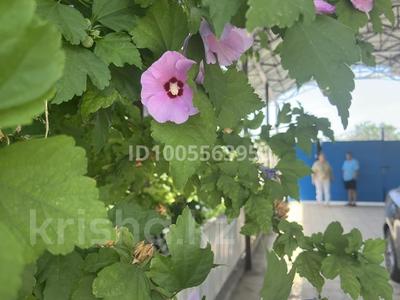 Жеке үй · 3 бөлме · 80 м² · 4 сот., Асанова 88, бағасы: 33 млн 〒 в Шымкенте, Аль-Фарабийский р-н