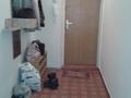 1-комнатная квартира, 40 м², 4/5 этаж помесячно, мкр Мамыр-2 за 140 000 〒 в Алматы, Ауэзовский р-н — фото 8