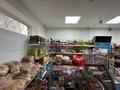 Магазины и бутики • 60 м² за 250 000 〒 в Атырау — фото 6