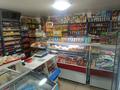 Магазины и бутики · 54 м² за 25 млн ₸ в Кокшетау — фото 3