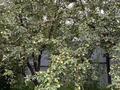 Отдельный дом · 5 комнат · 185 м² · 6 сот., Алатау 36 — Абылай хана за 55 млн ₸ в  — фото 26