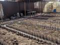 Отдельный дом · 4 комнаты · 40 м² · 8 сот., Пришахтинск, Пришахтинск, Новая Тихоновка — Павлодарская за 15 млн ₸ в Караганде, Алихана Бокейханова р-н — фото 4
