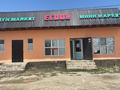 Магазины и бутики • 120 м² за 30 млн 〒 в Талдыкоргане, село Ынтымак