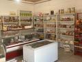 Магазины и бутики • 120 м² за 30 млн 〒 в Талдыкоргане, село Ынтымак — фото 2