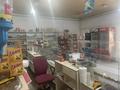 Магазины и бутики • 120 м² за 30 млн 〒 в Талдыкоргане, село Ынтымак — фото 4