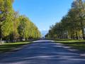 Участок · 30 соток, Тескенсу улица Жамбола 34 за 28 млн ₸ в Акши (Енбекшиказахском районе) — фото 2