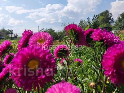 Дача · 1 комната · 25 м² · 7 сот., СТ Борки — Садовое товарищество Борки за 2.5 млн 〒 в Петропавловске