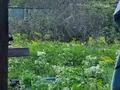 Дача · 1 комната · 25 м² · 7 сот., СТ Борки — Садовое товарищество Борки за 2.1 млн ₸ в Петропавловске — фото 10