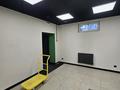 Еркін, кеңселер · 147 м², бағасы: 350 млн ₸ в Алматы, Бостандыкский р-н — фото 39