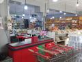 Магазины и бутики • 200 м² за 350 000 〒 в Бишкуле — фото 2