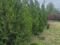Жеке үй · 4 бөлме · 225 м² · 8 жүзд., Булакты 38 — Сунбая, бағасы: 59 млн ₸ в Каскелене — фото 5