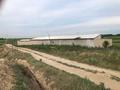 Жер телімі · 3.5 га, Қараой, бағасы: 36 млн ₸ в Караой — фото 11