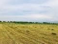 Жер телімі · 3.5 га, Қараой, бағасы: 36 млн ₸ в Караой — фото 2