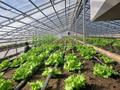 Жеке үй · 2 бөлме · 50 м² · 32 жүзд., Жансегирова 42, бағасы: 20 млн ₸ в Бактыбая жолбарысулах — фото 10