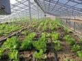 Жеке үй · 2 бөлме · 50 м² · 32 жүзд., Жансегирова 42, бағасы: 20 млн ₸ в Бактыбая жолбарысулах — фото 12