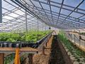 Жеке үй · 2 бөлме · 50 м² · 32 жүзд., Жансегирова 42, бағасы: 20 млн ₸ в Бактыбая жолбарысулах — фото 2