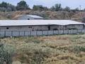 Сельское хозяйство · 700 м² за ~ 54.8 млн 〒 в М. Туймебаеве — фото 40