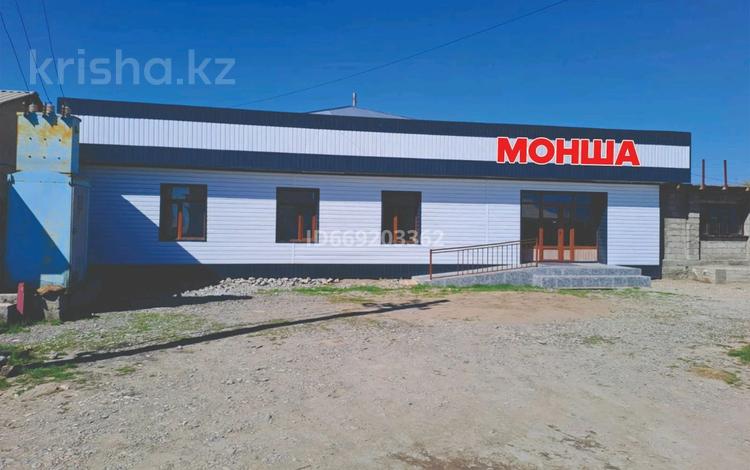 Магазины и бутики · 1000 м² за 200 млн ₸ в Туркестане — фото 26