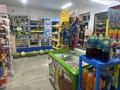 Магазины и бутики · 130 м² за 45 млн ₸ в Текели — фото 6