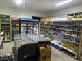 Магазины и бутики · 130 м² за 45 млн ₸ в Текели — фото 9