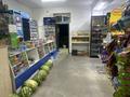 Магазины и бутики · 130 м² за 45 млн ₸ в Текели — фото 10