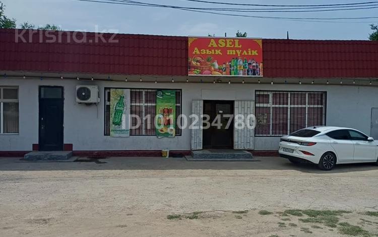 Еркін, дүкендер мен бутиктер · 250 м², бағасы: 400 000 ₸ в Шымкенте, Туран р-н — фото 16