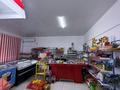 Еркін, дүкендер мен бутиктер · 250 м², бағасы: 400 000 ₸ в Шымкенте, Туран р-н — фото 8