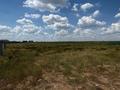 Участок · 30 соток, Алтындала за 76.5 млн ₸ в Косшы — фото 3