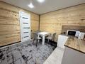 1-комнатная квартира · 30 м², Сакена сейфулина 11/1 за 25 000 ₸ в Бурабае — фото 5
