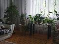 Отдельный дом · 4 комнаты · 76 м² · 12 сот., Степная за 6 млн ₸ в Зенковке — фото 15