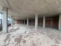 Еркін · 3318.9 м², бағасы: ~ 16.6 млн ₸ в Астане — фото 23