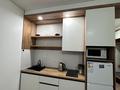 1-комнатная квартира · 40 м² · 12/13 этаж, Просп. Назарбаева 28 — Райымбек за 18 000 ₸ в Алматы, Жетысуский р-н — фото 15