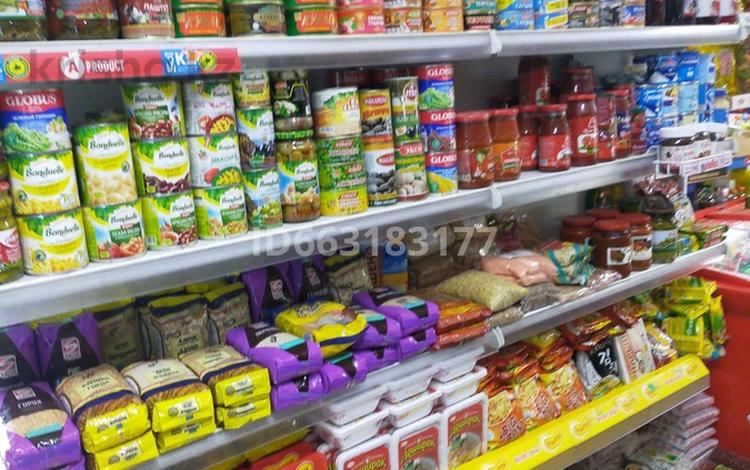 Магазины и бутики • 97 м² за 43 млн 〒 в Шымкенте, Аль-Фарабийский р-н — фото 15