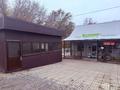 Продуктовый магазин с пристройкой · 1 м² за 14 млн ₸ в Текели