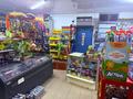 Продуктовый магазин с пристройкой · 1 м² за 14 млн ₸ в Текели — фото 3