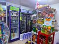 Продуктовый магазин с пристройкой · 1 м² за 14 млн ₸ в Текели — фото 4