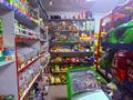 Продуктовый магазин с пристройкой · 1 м² за 14 млн ₸ в Текели — фото 6