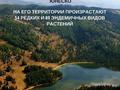 Участок · 20 соток, Топаркова 24 за 17 млн 〒 в  — фото 10