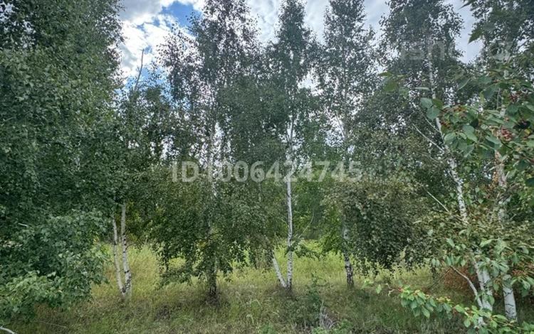 Участок · 6 соток, Малотимофеевка за 20.8 млн ₸ — фото 2