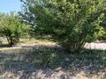 Участок · 8 соток, Қалақай 230 за 2.5 млн ₸ в Таразе — фото 5