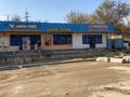Магазины и бутики, склады, салоны красоты, медцентры и аптеки · 300 м² за 125 млн 〒 в Шымкенте, Туран р-н — фото 7