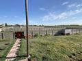 Отдельный дом · 4 комнаты · 250 м² · 25 сот., Нура за 40 млн ₸ в Кабанбае Батыра — фото 20