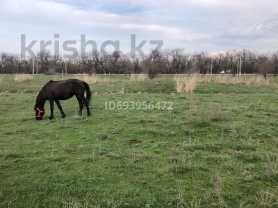 Ферму с лошадьми (30 голов и жеребята), 10000 м² за 70 млн 〒 в Байсерке