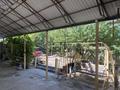 Отдельный дом · 9 комнат · 300 м² · 8 сот., мкр Достык 7 — Пажарканың қасында за 48 млн ₸ в Шымкенте, Абайский р-н — фото 3