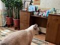 4-бөлмелі пәтер · 76.4 м² · 5/6 қабат, Курганская 4, бағасы: 26.5 млн ₸ в Костанае — фото 22