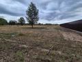 Участок · 24 сотки, Семей за 10 млн 〒 — фото 7